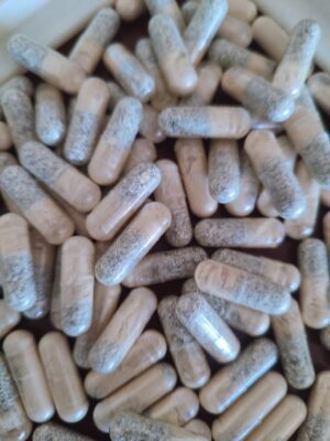 Capsulas 500 mg Melena de Leon